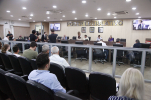 Sessão Ordinária 18-03-2025 