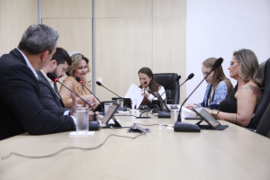 Comissão Finanças - 08.04.2025 