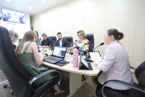 Comissão Finanças - 15.04.2025 