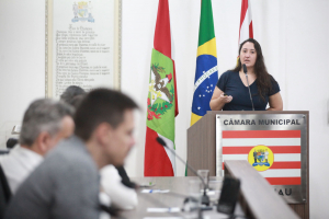 Audiência Pública - Saúde - 13.05.2025 