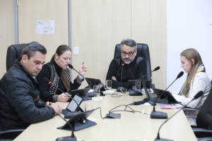 Comissão Educação - 29.05.2025 