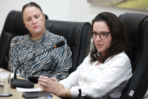 Comissão de Saúde Mental - 17.07.2025 