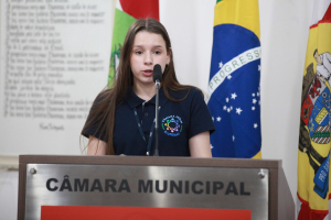 Sessão Ordinária Mirim - 06.10.2025 - Parte I 