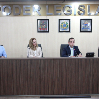 Audiência Pública Debate Doenças Raras - 25.02.2026 - Parte II 