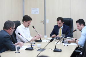 Comissão da Defesa Civil - 30.04.2026 