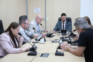 Comissão de Emendas à Lei Orgânica - 07.05.2026 