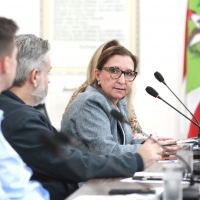 Reunião da Comissão do Sistema Pronto - 28.05.2026 - Parte II 