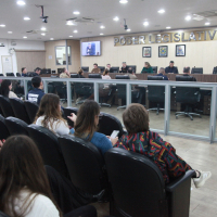 Comissão de Segurança nas EBMs e CEIs de Blumenau - 19.06.2026 - Parte I 