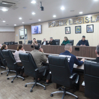 Comissão de Segurança nas EBMs e CEIs de Blumenau - 19.06.2026 - Parte II 