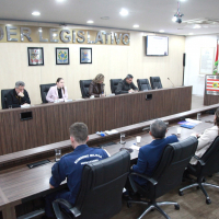 Comissão de Segurança nas EBMs e CEIs de Blumenau - 09.07.2026 - Parte I 