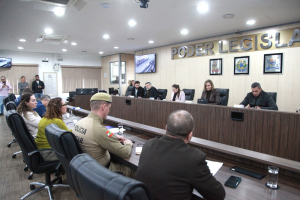 Comissão de Segurança nas EBMs e CEIs de Blumenau - 09.07.2026 - Parte I 