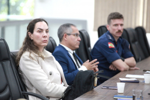 Comissão de Segurança nas EBMs e CEIs de Blumenau - 09.07.2026 - Parte I 
