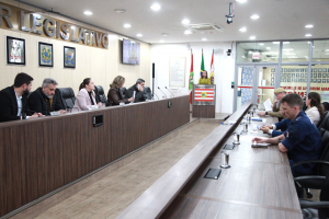 Comissão de Segurança nas EBMs e CEIs de Blumenau - 09.07.2026 - Parte I 