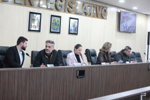 Comissão de Segurança nas EBMs e CEIs de Blumenau - 09.07.2026 - Parte I 