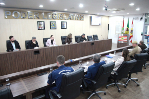 Comissão de Segurança nas EBMs e CEIs de Blumenau - 09.07.2026 - Parte I 