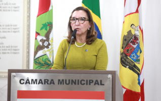 Comissão de Segurança nas EBMs e CEIs de Blumenau - 09.07.2026 - Parte I 