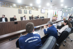 Comissão de Segurança nas EBMs e CEIs de Blumenau - 09.07.2026 - Parte I 